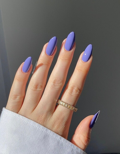 Simple vibrant purple color